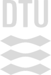 DTU Logo